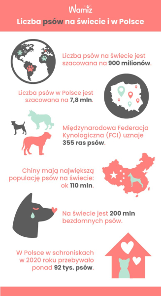 liczba psów w Polsce i na świecie infografika