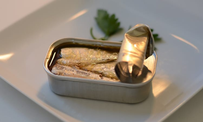 receta sardinas en aceite para gatos