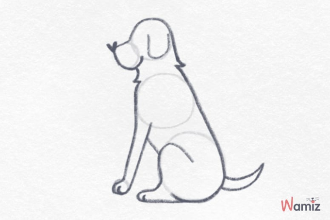 jak narysować psa krok 4
