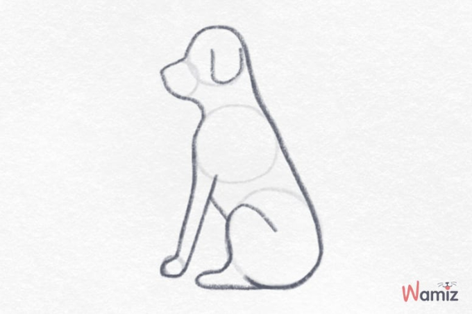 jak narysować psa krok 3