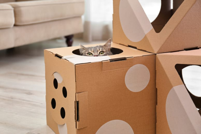 domek dla kota z kartonu