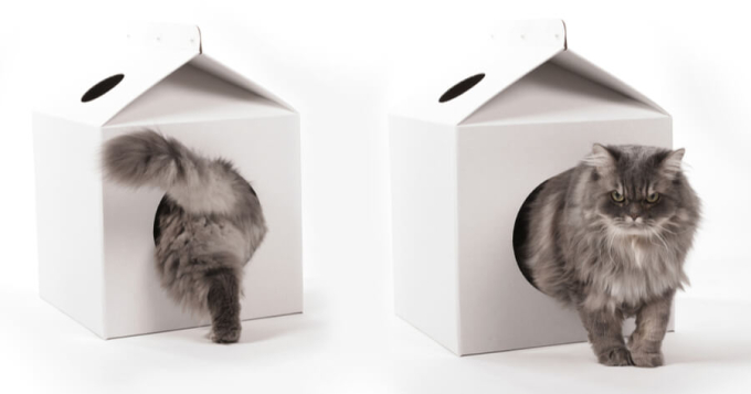 domek dla kota z pudełka